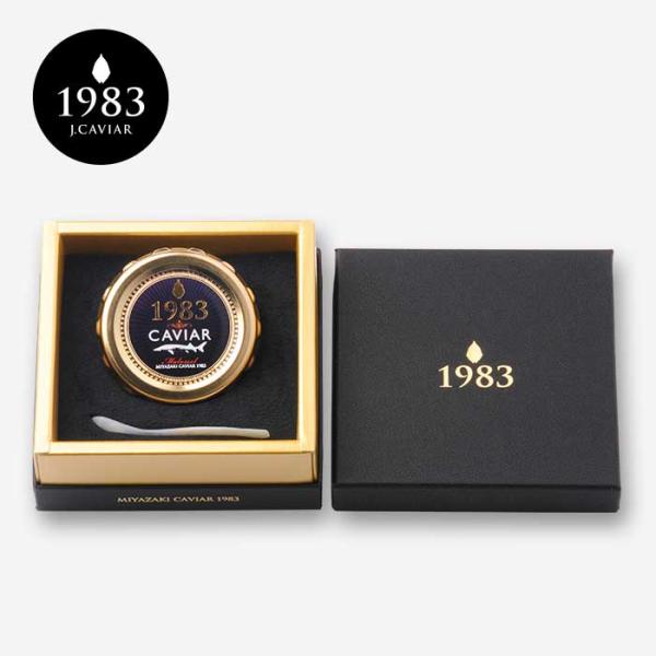 ������ ���Ε� 2026 �M�t�g �{��L���r�A1983 �v���~�A�� 12g �����p���ϔ����� ���Y �L���r�A G7�T�~�b�g�̗p �t���b�V�� �H�i �N���X�}�X �v���[���g ���i�摜2
