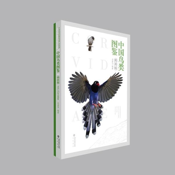 中国鳥類図鑑 （鴉科版）