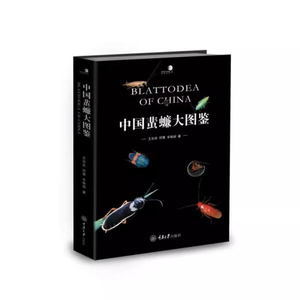 中国蜚[虫廉]（ゴキブリ）目昆虫 7 科 65 属 310 種を収録したカラー図鑑。※ご注意：本商品は中国出版された中国語のもの、日本語のものではありません！！※ご注意：本商品は中国北京から取り寄せいたします。納期はおよそ10−15日、予め...
