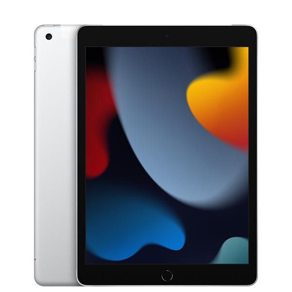 iPad ☆中古Aランク 美品 2021年モデル Apple iPad9 10.2インチ 256GB 