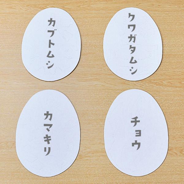 �_���{�[�� �H�� �L�b�g �u���񂿂イ�̂��܂��v�@hacomo�@egg  ���w���@�ċx�� �� ���R�H�� �Ɂ@ ���i�摜3