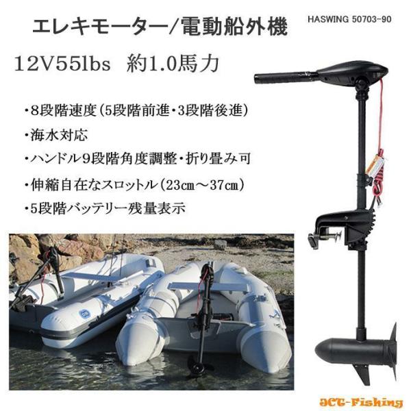 HASWING エレキ 12v-