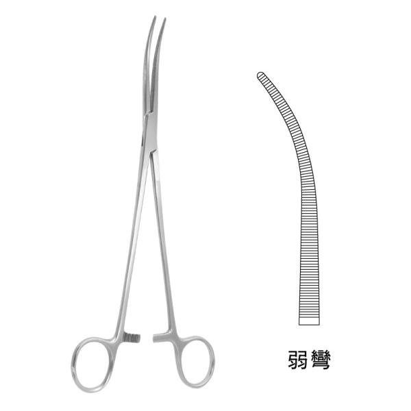 P[q / 22.0cmiJB13-2121j