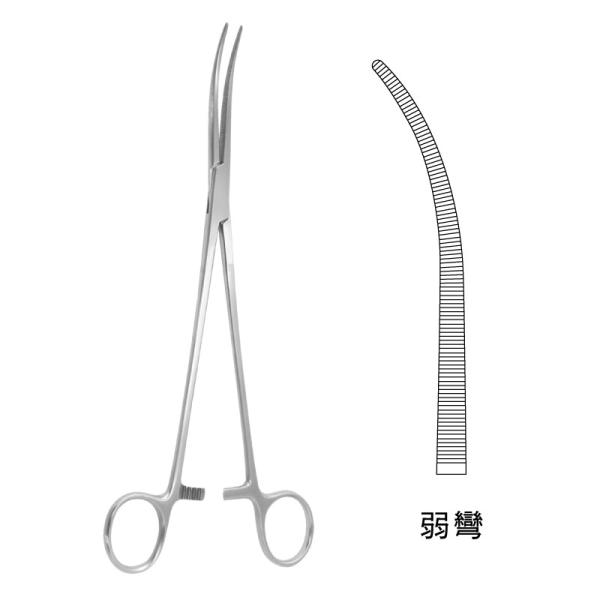 P[q / 24.0cmiJB13-2131j