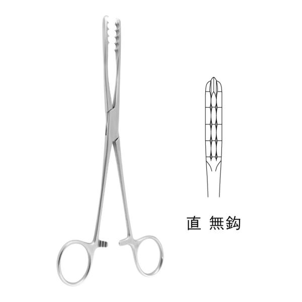 E[bqEX|Wq / 22.0cmiJB23-0901j