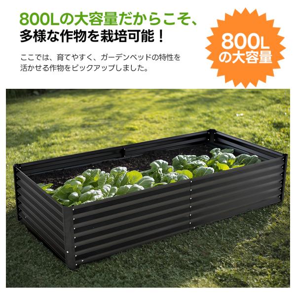 jctstore_n508p316069