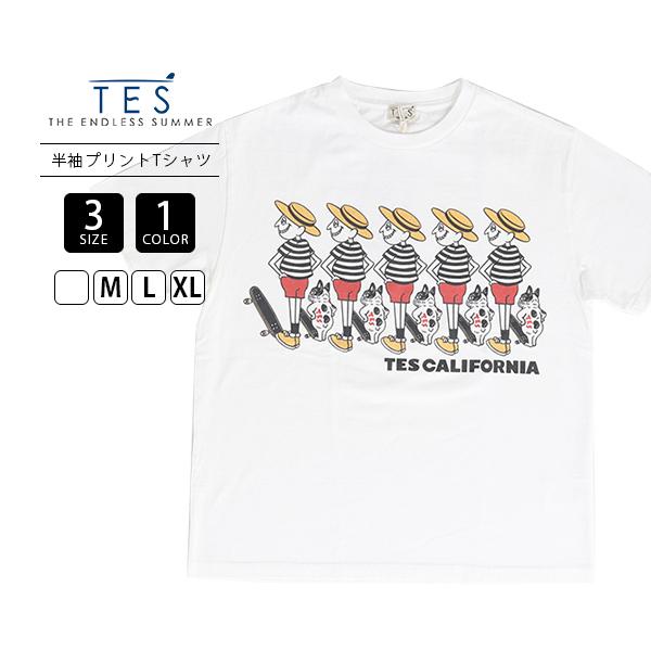 The Endless Summer（エンドレスサマー） TES The Endless Summer テス