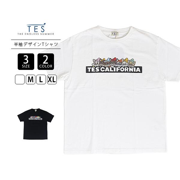 The Endless Summer（エンドレスサマー） TES テス Tシャツ 半袖