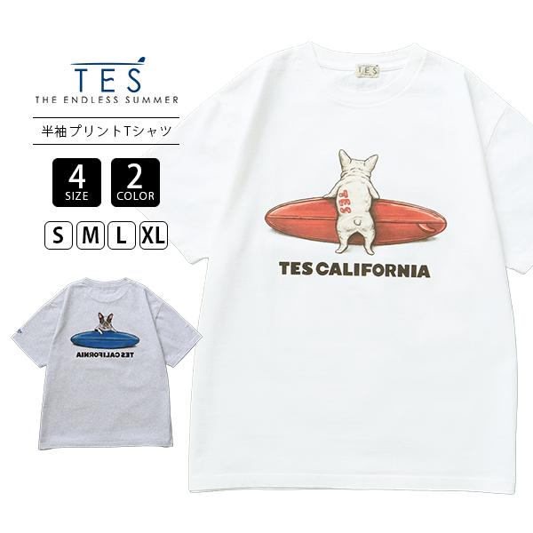 TES エンドレスサマー メンズ 半袖Tシャツ 4COLOR BUHI SURFER フレンチブルドッグ サーフボード バックプリント ヘビーウェイト 日本製 アメカジ 26574345