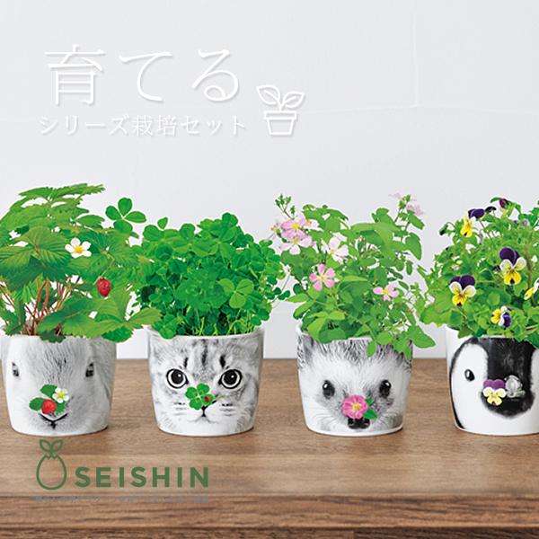 栽培キット かわいい 栽培セット 家庭菜園 菜園セット Hana Animals 聖新陶芸 507 Gd 858 507 Gd 858 ジーンズショップヤマト 通販 Yahoo ショッピング