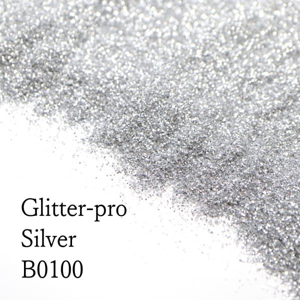 グリームス[ GLEAMS ］ラメフレーク( シルバー ) ( 100g ) ( B0100 ) ラメパウダー/グリッター/耐溶剤/塗装/吹付/ハンドメイド/DIY/業務用