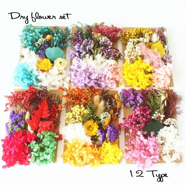 キャンドル作成、ワックスバー、レジン封入、ハーバリウム等ハンドメイド素材として人気です。全て天然の花を使用してますため、写真の色合いと完璧に同じにはなりません。予めご了承くださいませ。■入数：画像参照■サイズ：袋サイズ　17cm×21cm■...