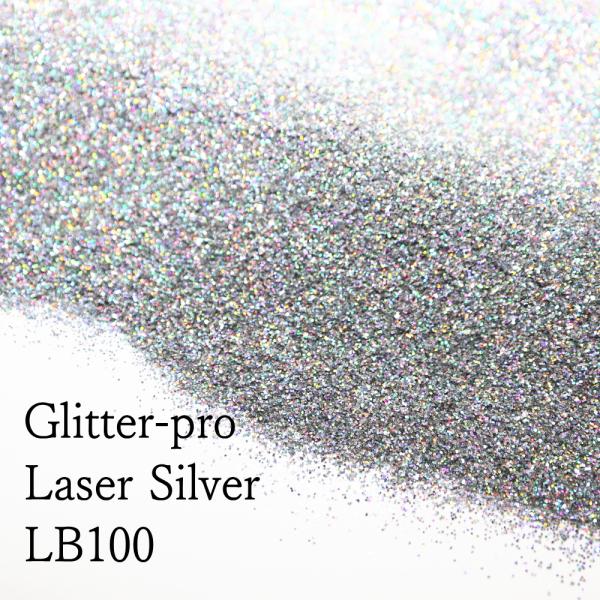 グリームス[ GLEAMS ］ラメフレーク( シルバー ) ( 100g ) ( B0100 ) ラメパウダー/グリッター/耐溶剤/塗装/吹付/ハンドメイド/DIY/業務用