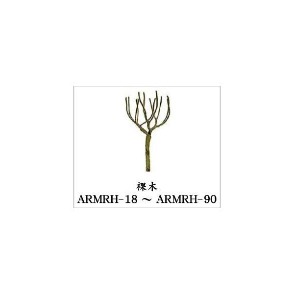 ARMRH-18   裸木6本入り