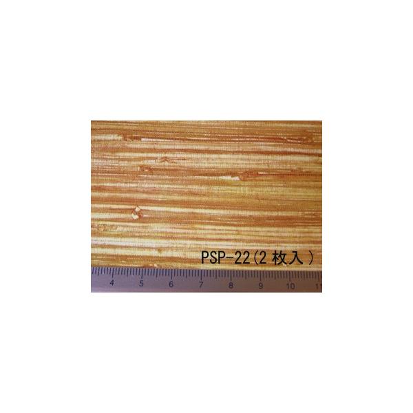 PSP-22@ELM plO 2 i1/12TCYj@vXgNg ͌^ޗ