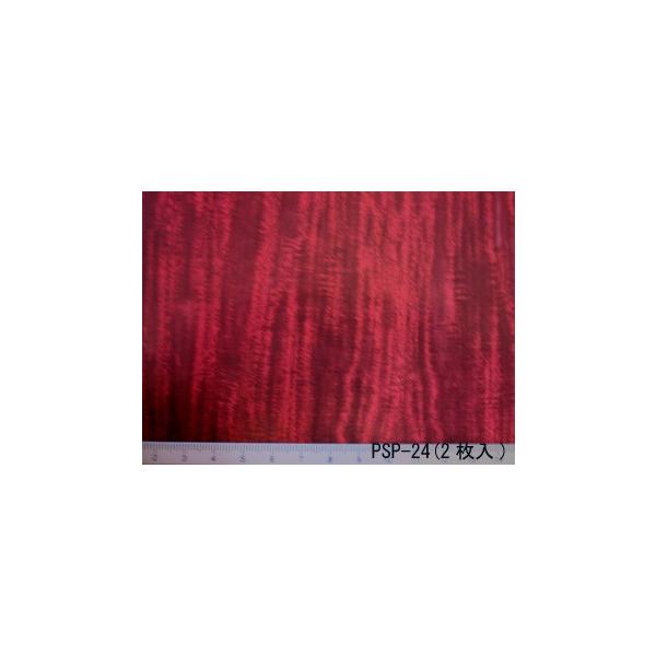 PSP-24@WALNUT plO 2 i1/12TCYj@vXgNg ͌^ޗ