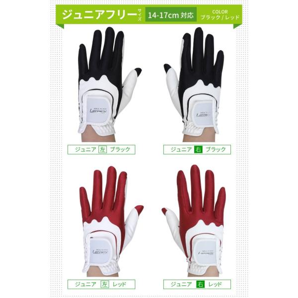 グローブ Larouge ワンサイズグローブ サイズ選びに悩まないゴルフグローブ メンズ レディース ジュニア レフティ フリーサイズ 左手用 右手用 ゴルフ手袋 Buyee Buyee Japanese Proxy Service Buy From Japan Bot Online