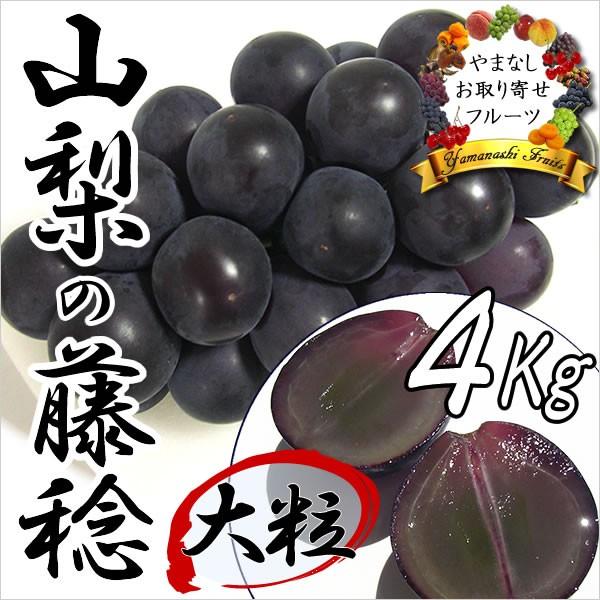 ギフト ぶどう 山梨産 藤稔 ふじみのり 4kg 葡萄 ブドウ Fruits G5 05 山梨お取り寄せフルーツ 通販 Yahoo ショッピング