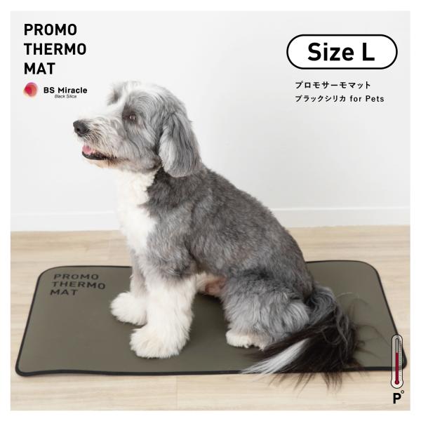 jes-mineral-honpo_k2-6