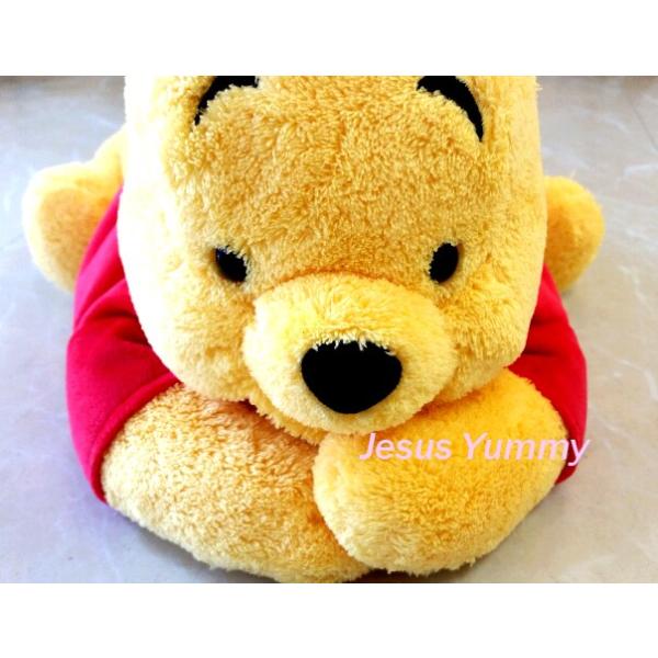 東京ディズニーランド限定 くまのプーさん Pooh プーさん ティッシュボックスカバー もこもこ 東京ディズニーリゾート スケート お土産 Disney Buyee Buyee 日本の通販商品 オークションの代理入札 代理購入