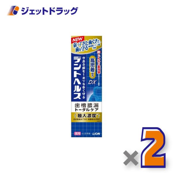 【医薬部外品】デントヘルス薬用ハミガキDX 85g ×2個〔歯周病・虫歯予防〕