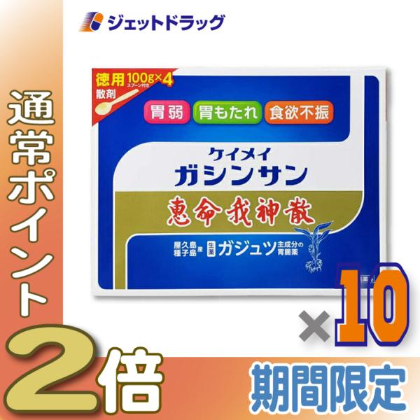 【第2類医薬品】恵命我神散 100g 4袋入 ×10個 (058012)