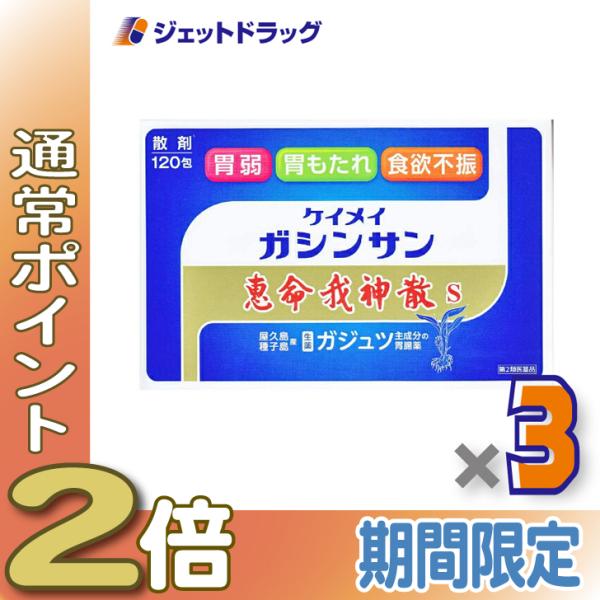 【第2類医薬品】恵命我神散S 3g 120包入 ×3個 (058029)