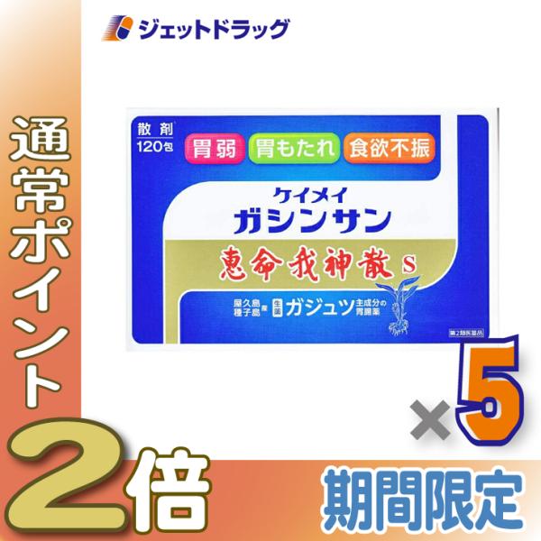 【第2類医薬品】恵命我神散S 3g 120包入 ×5個 (058029)