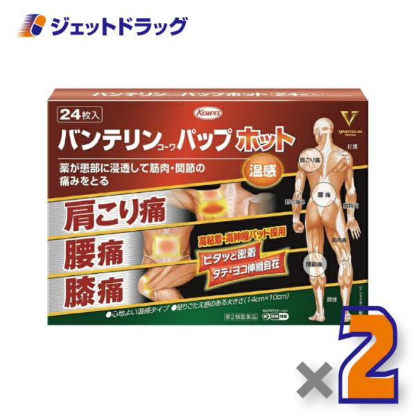 【第2類医薬品】バンテリンコーワパップホット 24枚 ×2個 ※セルフメディケーション税制対象