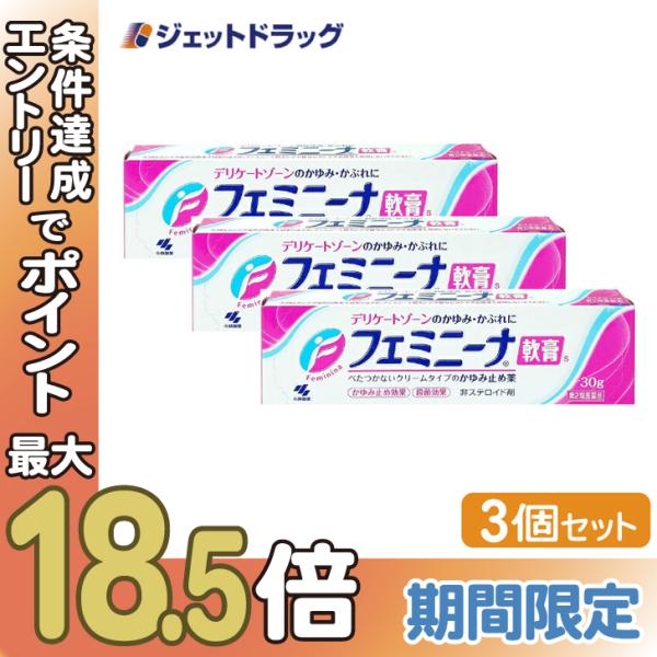 【第2類医薬品】フェミニーナ軟膏S 30g ×3個 ※セルフメディケーション税制対象