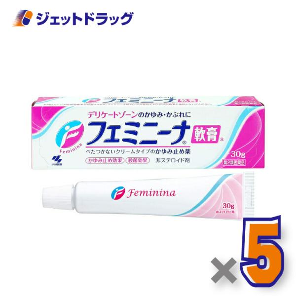 【第2類医薬品】フェミニーナ軟膏S 30g ×5個 ※セルフメディケーション税制対象商品 (007921)