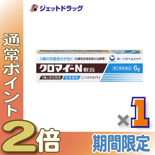 【第2類医薬品】クロマイ-N軟膏 6g (608727)
