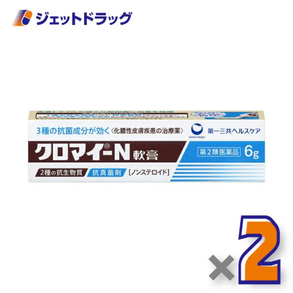 【第2類医薬品】クロマイ-N軟膏 6g ×2個 (608727)