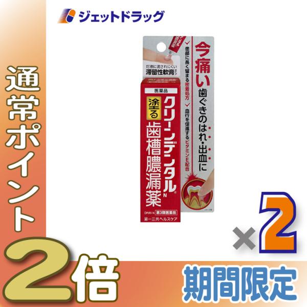 【第3類医薬品】クリーンデンタルN 塗る歯槽膿漏薬 16g ×2個 (617477)