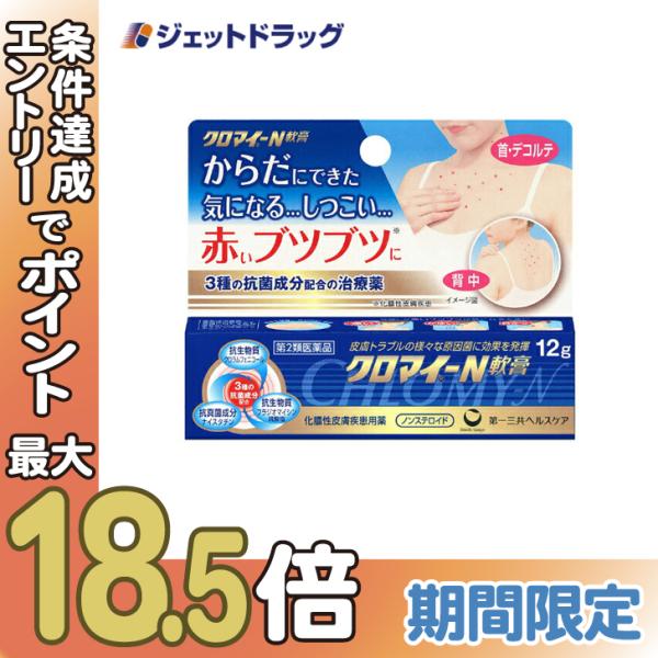 【第2類医薬品】クロマイ-N軟膏 12g (623799)