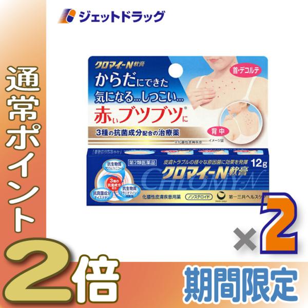 【第2類医薬品】クロマイ-N軟膏 12g ×2個 (623799)