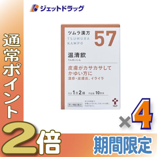 【第2類医薬品】ツムラ漢方温清飲エキス顆粒 20包 ×4個〔湿疹・皮膚炎〕