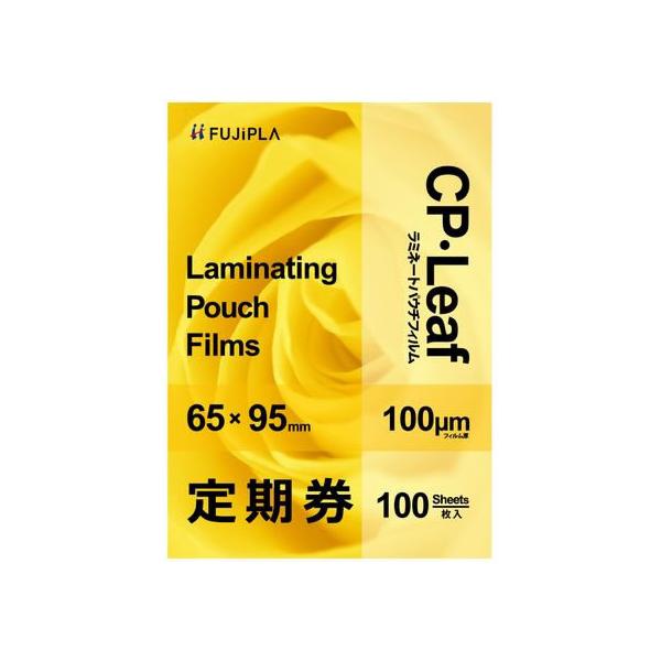 y񂹁zqTS CP[t ~l[gtB  100 100 CP1006595Y