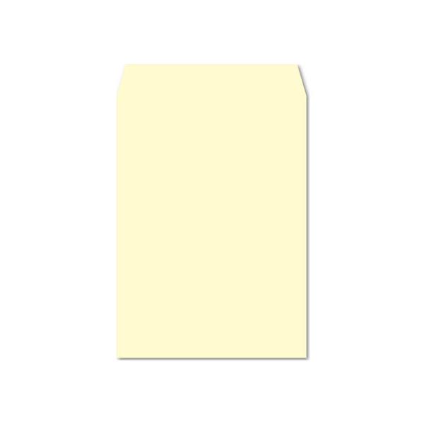 e[vtJ[ p2 tbVg[ N[ 100 K2S541F