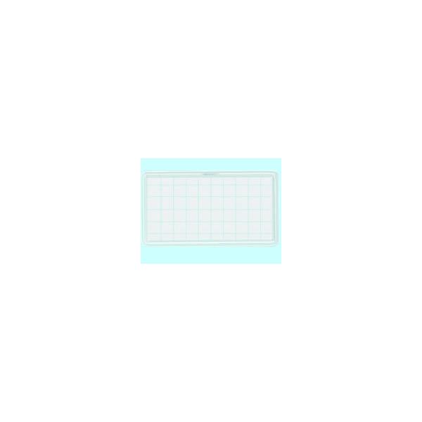 RN h^\tgDSSTCY C^Nbv 50 it-48T