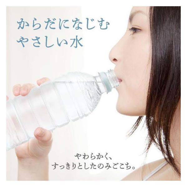 �~�c�E���R�r�o���b�W �x�m�����o�i�W�E��&�V���J ���x�����X 500mL�~48 ���i�摜3