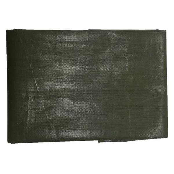 y񂹁z^JCN 4000 ODO[V[g 1.8m×2.7m OGS-402 J[V[g  S 