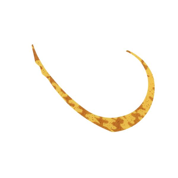 y񂹁zWbJ rrXCb`T+lN^C}CNJ[[Ch #GrI