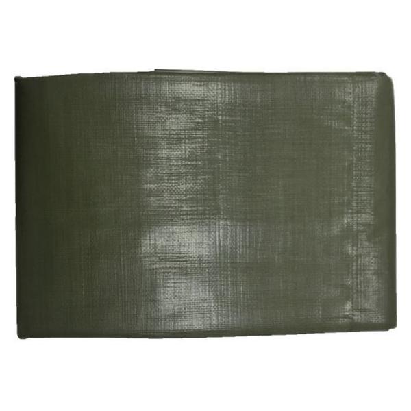 y񂹁z^JCN 4000 ODO[V[g 3.6m×5.4m OGS-411 J[V[g  S 