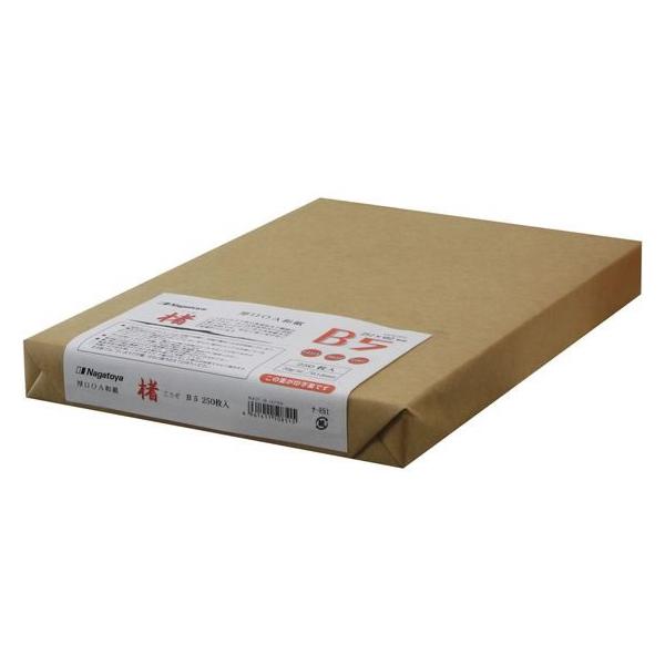 長門屋商店 マルチOA和紙 楮入奉書 B5 ナ-851 和紙タイプ コピー用紙