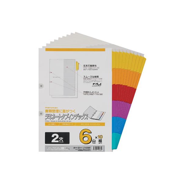 }} ~l[g^uCfbNX A4^e 6R 2 10g LT4206F ~l[g oo Q^Cv t@CpCfbNX d؃J[h