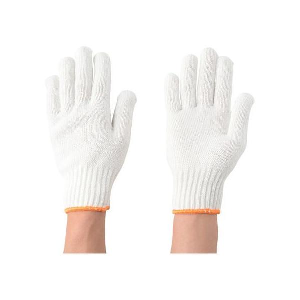 y񂹁zAg {R(12o) 200 aR R w Ɨp