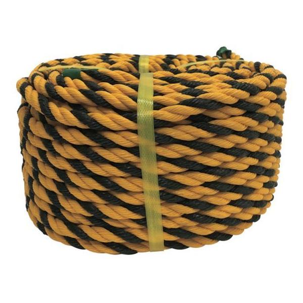 y񂹁z^JCN [v W[v(OB) 12×50 YEB1250