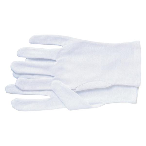 ӂ ȃXXLLTCY }`  12g 5008 Ȏ   Ci[ Ɨp