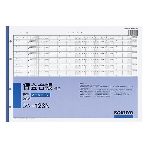 RN Гp B4R^ 4䒠20g V-123N